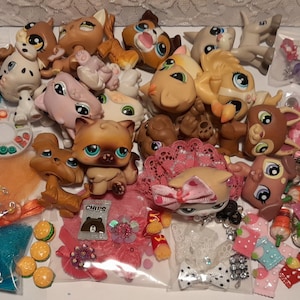 Authentic LPS 18 pc Play Set 2 Pets (1 Random CAT or DOG and 1 Other Random Pet) 2 Food Items & 14 Accessories