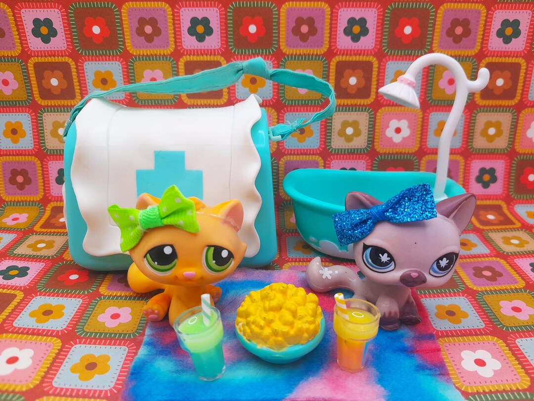 Authentic LPS Cat #94 With Original Carrier Squeaky Clean Cat #664 With ...