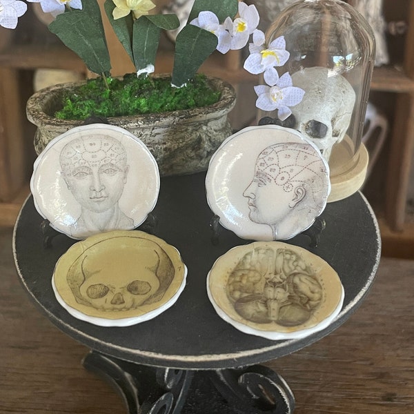 Hand Decorated Ceramic Dollhouse 1:12 Scale Plates and Plate Stands Vintage Style Gothic Macabre Phrenology Skull Brain Medical