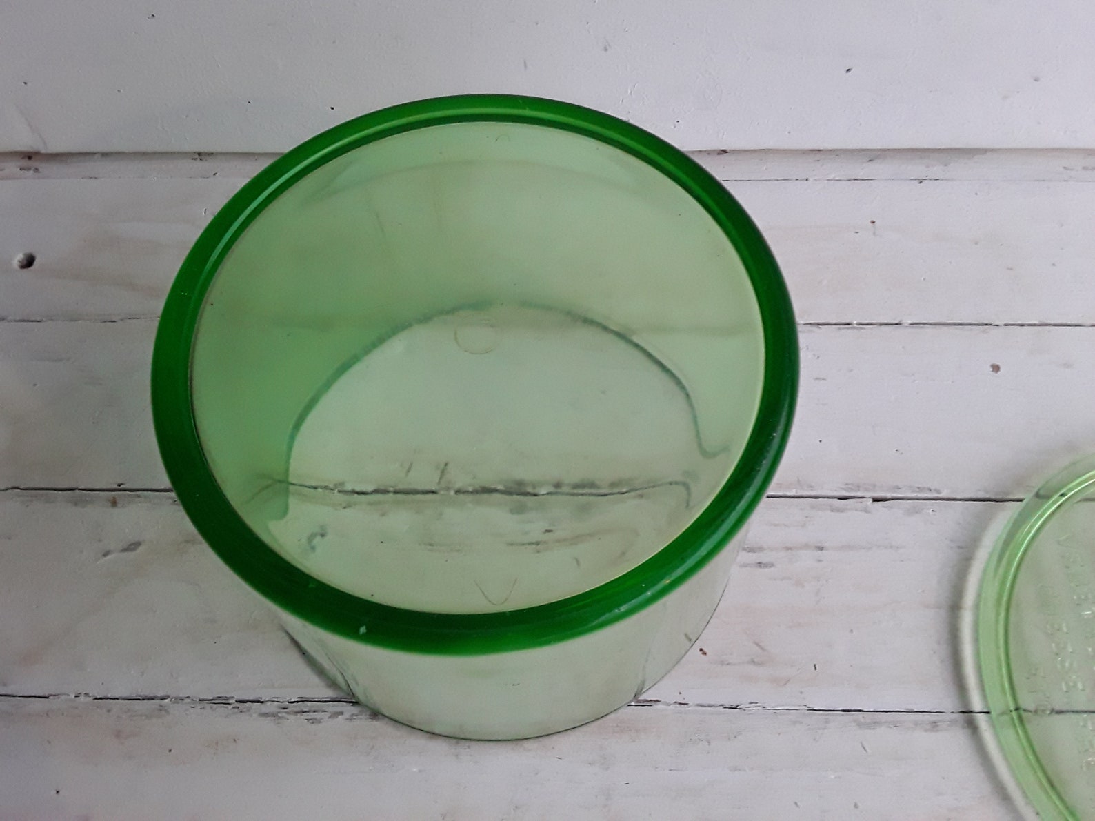Rare Antique Green Sanitary Refrigerator Jar | Etsy