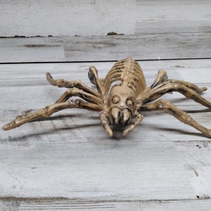Halloween Skelton Creature Decor / Halloween Decor / Halloween Party Decor