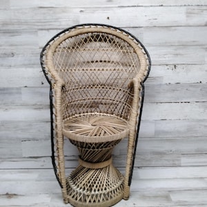 Peacock Style Wicker Chair Planter from 1970s, Plant Stand Chair, Photo Prop
