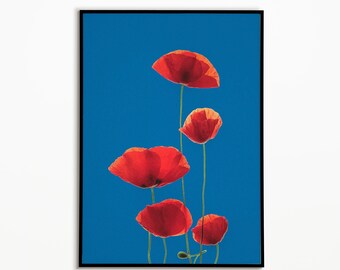 Impression d'art mural coquelicot rouge, décoration murale rétro, affiche botanique, art floral vintage, décoration maximaliste, impressions printanières, coquelicots du souvenir