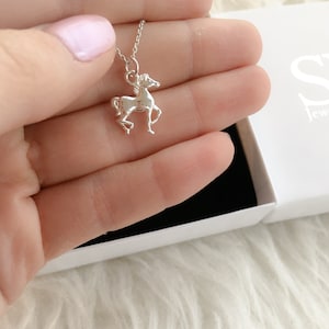 Pferde Geschenk für Mädchen, Halskette Pferd, Kette 925 Silber, Tochter Geschenk Bild 3