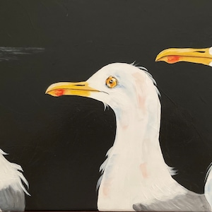 Nighttime Gulls &quot;Three Amigos&quot;