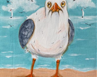 Gil the Hurricane Boy Gull