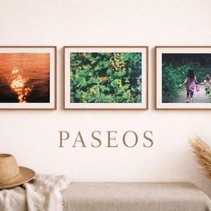 May include: Three framed landscape prints with brown wooden frames. The prints depict a sunset over water, a close-up of green foliage, and two children walking on a path. The word "PASEOS" is displayed below the prints.
