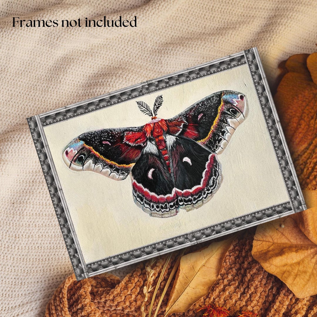 Cecropia Moth Art Print: Vintage Botanical Illustration (digital ...