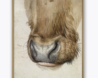 Bull Muzzle by Albrecht Durer -Vintage Painting Print Art-995