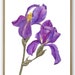 see more listings in the FLOWERS, FRUITS section