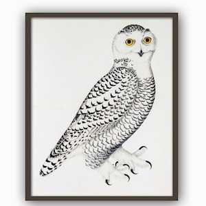 Owl Print, Bird Wall Art  Decor, Owl Painting Print, Bird Decor, Black and White