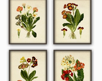 Flower Print Set of 4, Botanical Wall Art Decor, Flower Gallery Art Print, Botanical Illustration, Flower Poster, Flower Decor