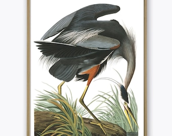 Grauer Reiher Druck Vogel Illustration Druck Vogel Poster Wand Kunst Druck Vintage Kunst Wohnkultur Vintage Illustration