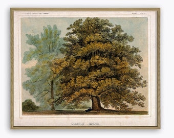 Nature Wall Art Landscape Oak Tree Nature Wall Decor Botanical Wall Art Oak Tree Art