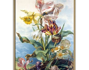 Vintage Tulip Flower Painting Print – Botanical Wall Art