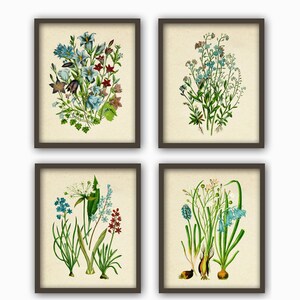 May include: Set of four botanical prints featuring blue, white, and red flowers with green leaves. The prints are framed in brown wood frames.