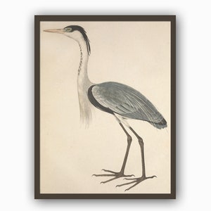 Stampa di uccelli, stampa di aironi, illustrazione di uccelli vintage, decorazione murale di uccelli, poster di uccelli, stampa minimalista