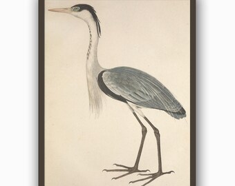 Bird Print, Heron Print, Vintage Bird Illustration, Bird Wall Decor, Bird Poster, Minimalist Print