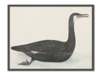Impresión de pájaros cormoranes, ilustración de pájaros, decoración de pared grande, blanco y negro