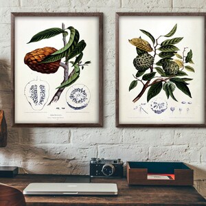 ボタニカルプリントセット、植物プリント、ウォールアートデコレーション、フルーツプリント、グリーンとブラウン