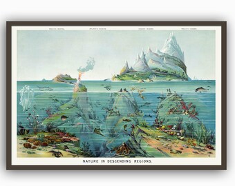 Ocean Print Sea Life Aquatic Poster Vintage Ocean Wall Art Enchanting Depths, Vintage Ocean Poster Sea Life and Aquatic Beauty
