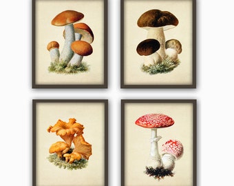 Svamptryck Set om 4, Svampköksdekor, Svampar Boktallrikar Illustrationer, Svampaffisch, Svamptryck, Antik Svampdekor