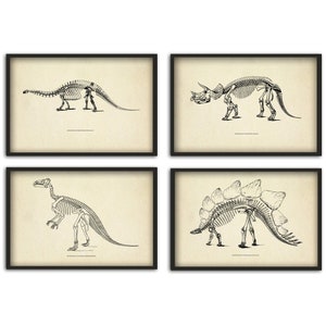 Dinosaur Skeleton Print Set of 4