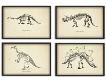 Dinosaur Skeleton Print Set of 4