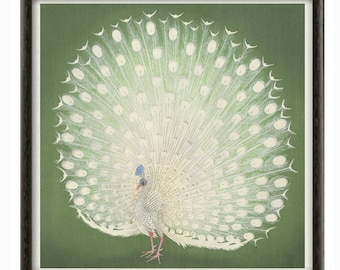 Ohara Koson White Peacock Art Print, Japanese Woodblock Poster