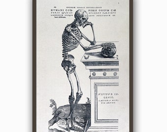 Szkielet anatomiczny, ilustracja medyczna, czaszka i kości