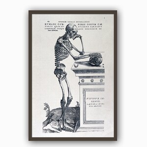 Human Skeleton Print, Anatomy Medical Poster, Skull, Bones, Ribs, Wall Art Decor, Medical Student Gift, 12x18, 16x24, Art-1099
