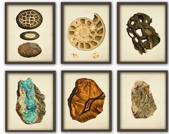 Stones and Minerals Print Set of 6, Stones Mineral Art Decor, Geology Print Art, Office Wall Art Decor, Geologist Gift