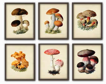 Botanical Mushroom Print, Vintage Style Kitchen Wall Art