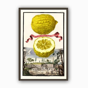 Fruit Print, Lemon Print, William Morris Poster, Kitchen Wall Decor, Fruit Poster, William Morris Fruit Print