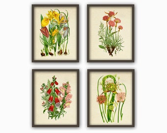 Botanical home decor | Etsy