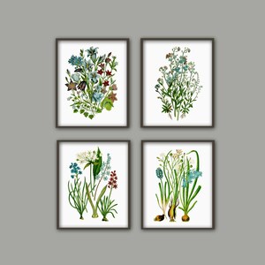 May include: Set of four botanical prints featuring blue, white, and red flowers with green leaves. The prints are framed in black frames and are arranged in a grid pattern.