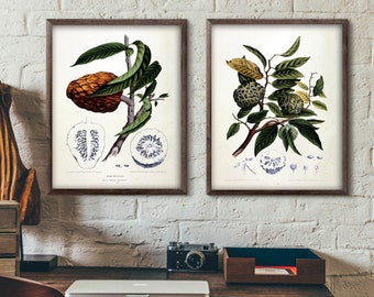 Botanical Print Set, Plant Prints, Wall Art Decor, Fruit Print, Green and Brown