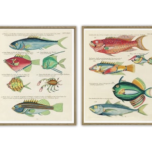 Fishes Print. Bathroom Decor, Marine Biology Art, Fish Painting Print Set of 2
