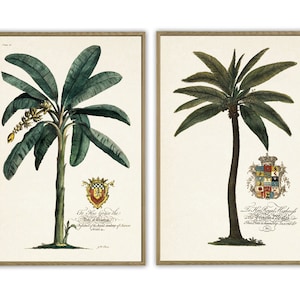 Palm Print Set of 2, Vintage Botanical Illustration Wall Decor, Palm with Coat of Arms