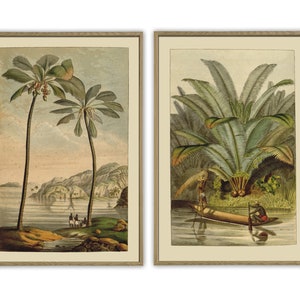Palms and River, Landscape Print, Antique Botanical Illustration Print Set of 2