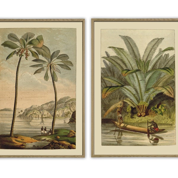 Palmiers et rivière, impression de paysage, impression d'illustration botanique antique, lot de 2