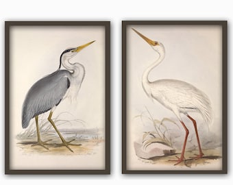 Set of 2 Birds Prints, Antique Bird Illustration, Ornithology Poster, Grey Heron, White Heron, Antique Birds Print, Bird Decor