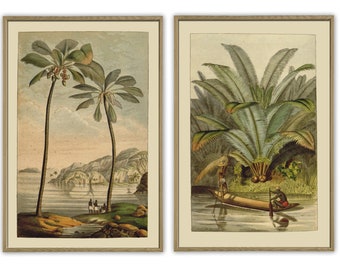 Palms and River, Landscape Print, Antique Botanical Illustration Print Set of 2