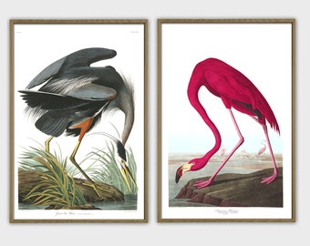 Birds Print Set of 2, Large Wall Decor, Heron and Flamingo, Birds Poster, Gallery Wall, Audubon Birds Illustrations