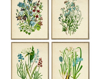 Blue Flowers Print Set of 4, Botanical Wall Decor, Flower Wall Art, Botany Print, Flowering Plant Poster