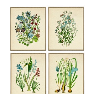 Blauwe bloemenprints botanische vintage bloemenkunst Cottage Wall Art Print Franse muurkunst, antieke muurkunst, bloemenprint, tuinkunst print set