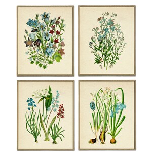 May include: Set of four vintage botanical illustrations featuring blue and white flowers with green leaves. The illustrations are framed in a light brown wood frame.