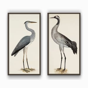 Set of 2 Big Birds Print Vintage Bird Illustration Bird Poster Home Large Wall Decor