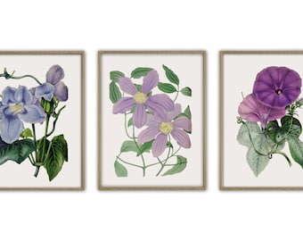 Blumen Print Set, Blumen Wandkunst, Botanische Wandkunst Dekor, Blumen Poster Set von 3