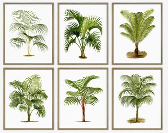 Palm Print, Botanical Wall Art Decor, Beach Tropical Art, Palm Tree, Palm Leaves Botanical Print Set of 6